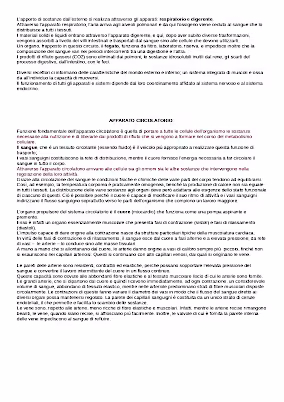 Apparato circolatorio schema 1