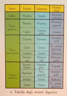 Apparatodigerente schema 4